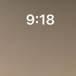 Meet your Posher, Lily